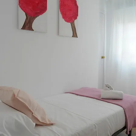Malagueta Center Apartment