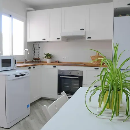 Apartment Malagueta Center *